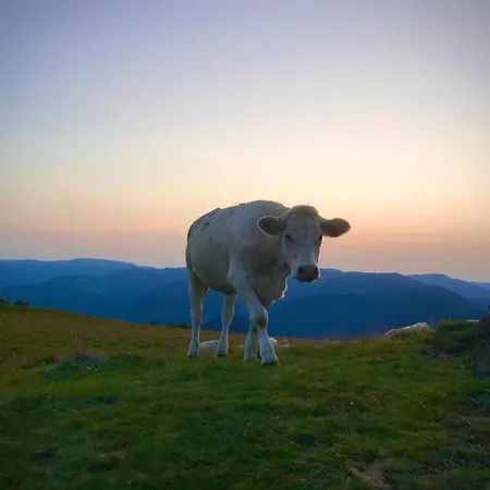 Appartement Schwalmala Calme Au Coeur Du Vignoble *