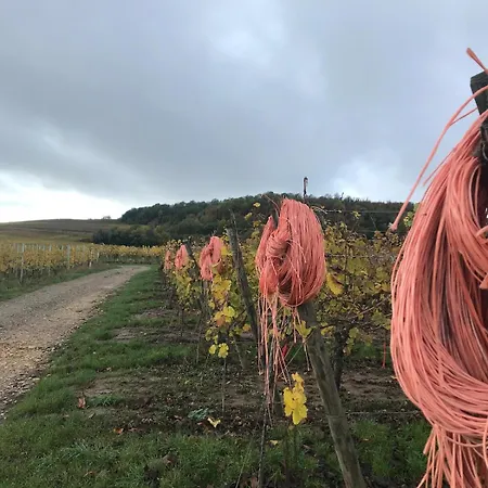 Schwalmala Calme Au Coeur Du Vignoble