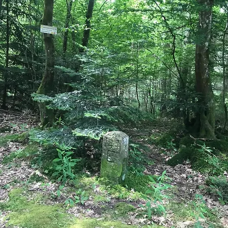 Schwalmala Calme Au Coeur Du Vignoble * Pfaffenheim