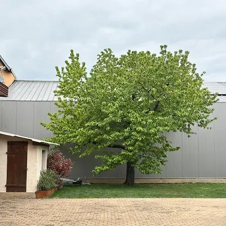 Appartement Schwalmala Calme Au Coeur Du Vignoble Pfaffenheim