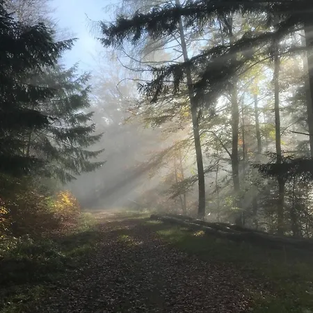 Schwalmala Calme Au Coeur Du Vignoble * Pfaffenheim